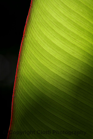 IMG_4370 edit