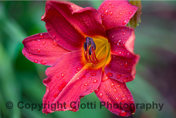 _S5U0733-Edit