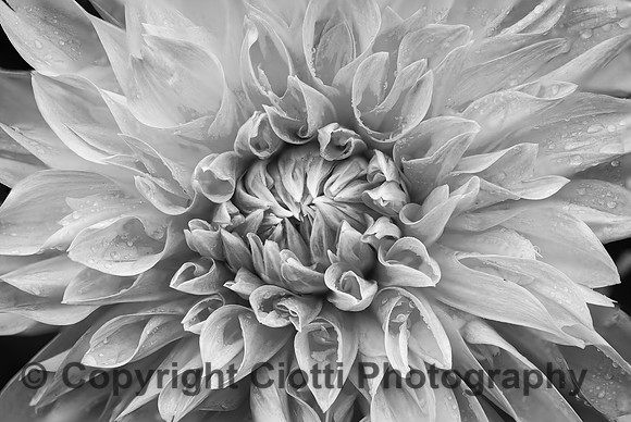 _S5U0725-Edit-2