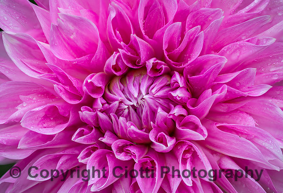 _S5U0725-Edit