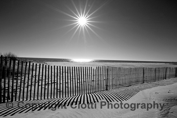 IMG_3542 b&w