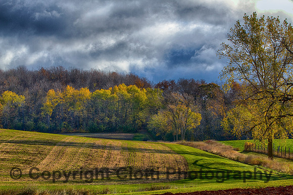 IMG_1056 edited_HDR