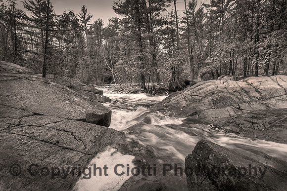 _S5U9793-b&w_Edit