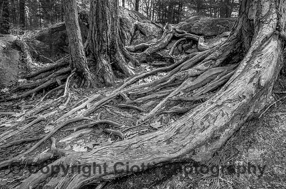 _S5U9760-Edit
